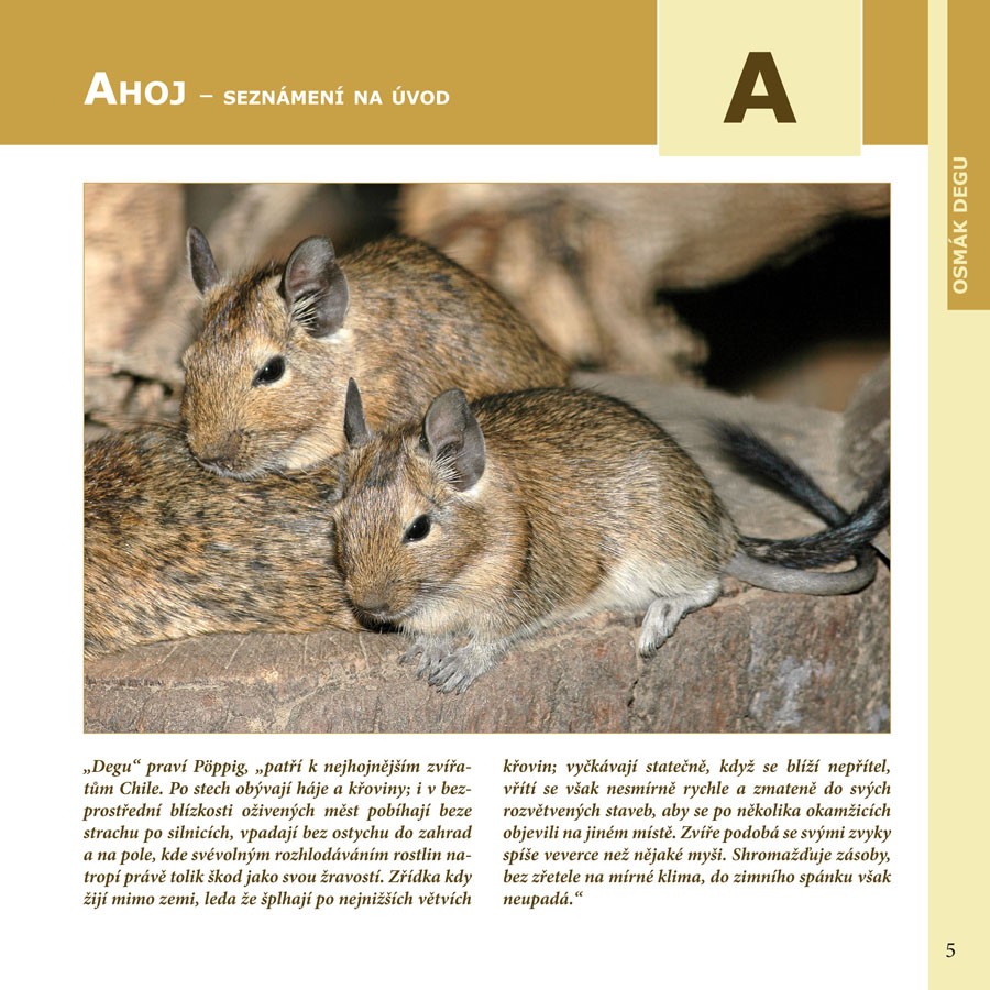 kniha OSMÁK DEGU