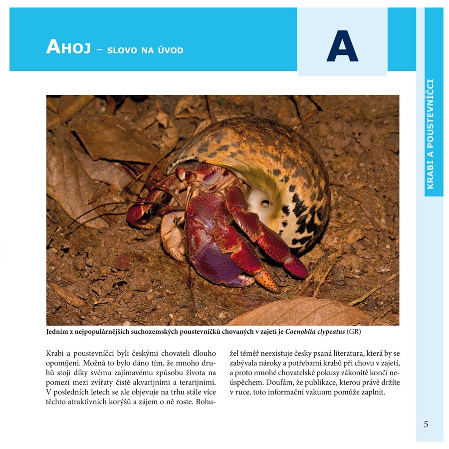 kniha KRABI A POUSTEVNÍČCI