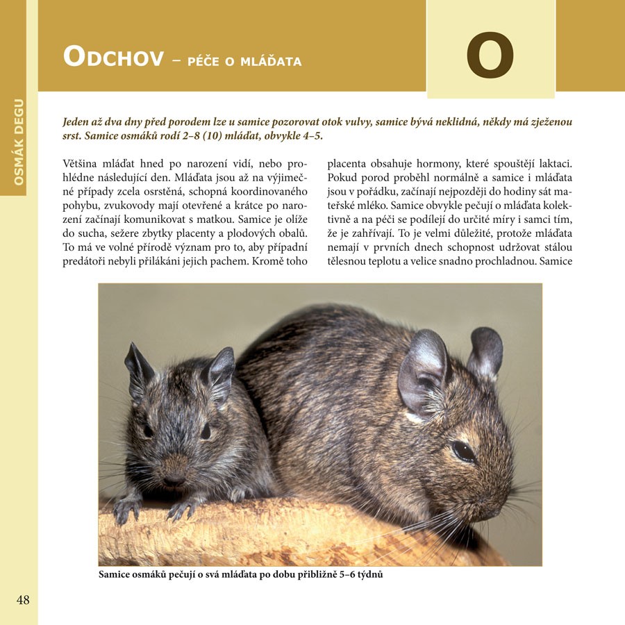 kniha OSMÁK DEGU
