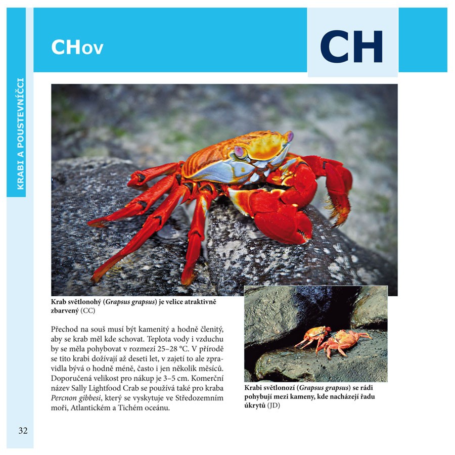 kniha KRABI A POUSTEVNÍČCI